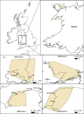 High-resolution wave data for improving marine habitat suitability models